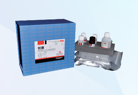 德赢·(VWIN)官方网站-AC米兰官方合作伙伴