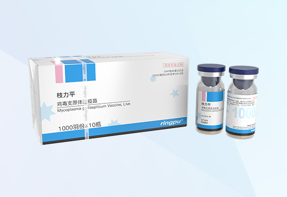 德赢·(VWIN)官方网站-AC米兰官方合作伙伴