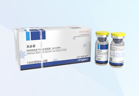 德赢·(VWIN)官方网站-AC米兰官方合作伙伴